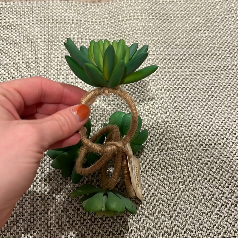 Brand new succulent table rings